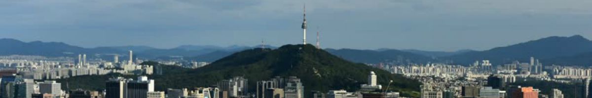 Seoul Skyline Image